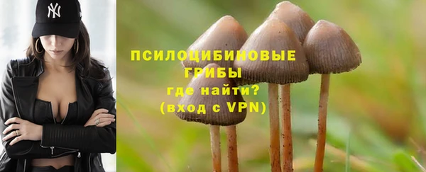 прущие крисы Белоозёрский