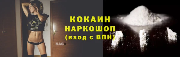 мдпв Богородск