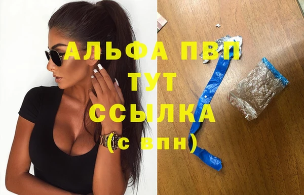 мдпв Богородск