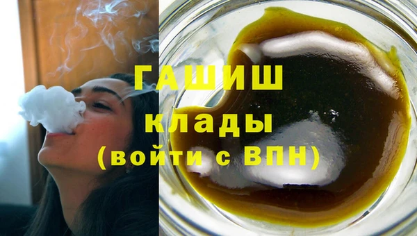 мдпв Богородск