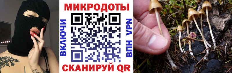 mega ссылка  Верхотурье  Галлюциногенные грибы GOLDEN TEACHER  закладки 